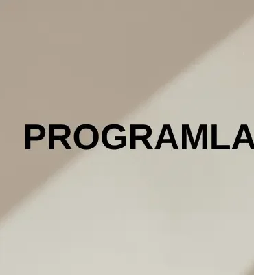 java PROGRAMLAMA DİLİ