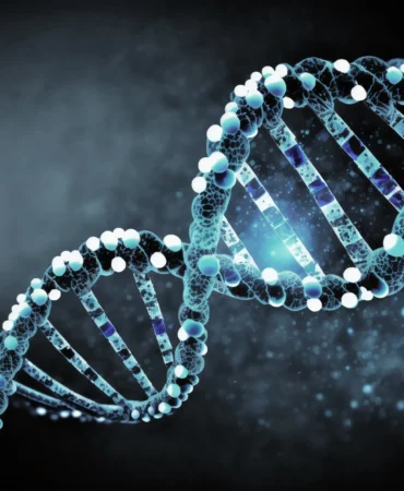 Genetik Nedir