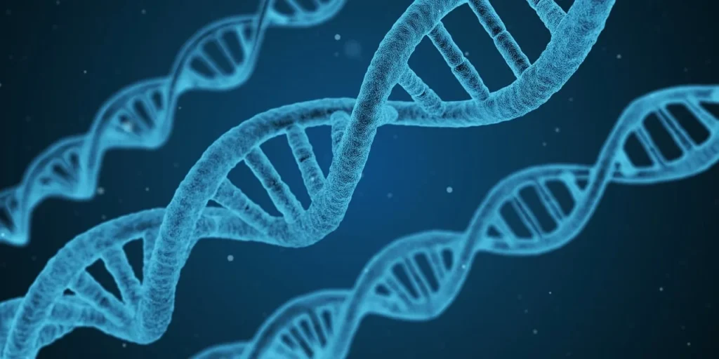 genetik hastalıklar gen taşıma