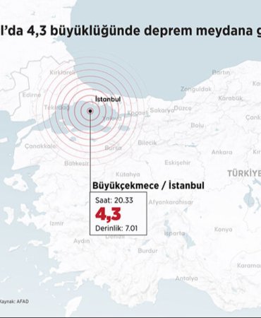 17457504501458573808