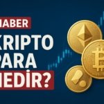 17459602141988031554