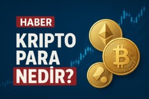 17459602141988031554